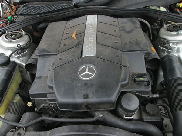 Mercedes Servisas