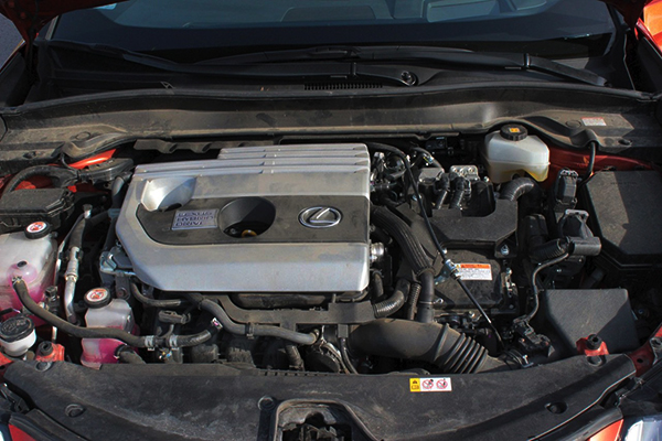 Lexus Servisas